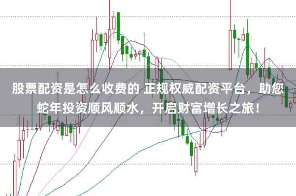 股票配资是怎么收费的 正规权威配资平台，助您蛇年投资顺风顺水，开启财富增长之旅！
