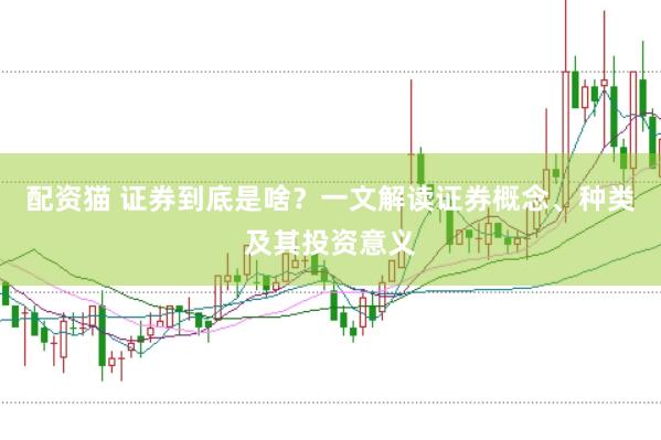 配资猫 证券到底是啥？一文解读证券概念、种类及其投资意义