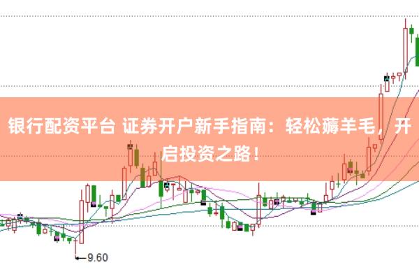 银行配资平台 证券开户新手指南：轻松薅羊毛，开启投资之路！