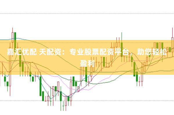嘉汇优配 天配资：专业股票配资平台，助您轻松盈利