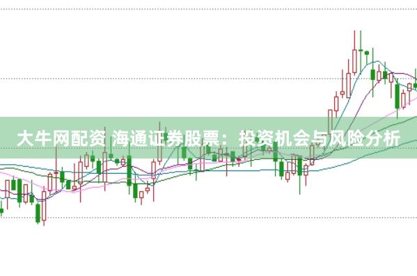 大牛网配资 海通证券股票：投资机会与风险分析