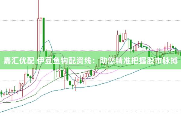 嘉汇优配 伊豆鱼钩配资线：助您精准把握股市脉搏