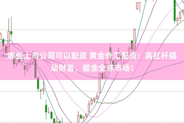 哪些上市公司可以配资 黄金外汇配资：高杠杆撬动财富，掘金全球市场！