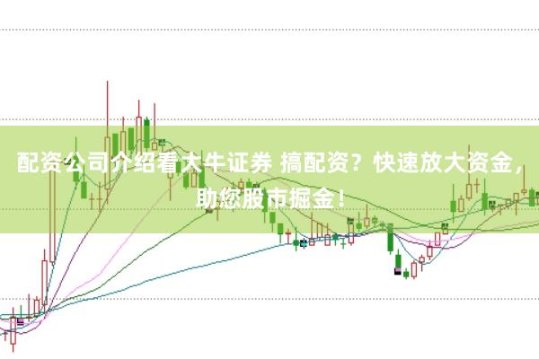 配资公司介绍看大牛证券 搞配资？快速放大资金，助您股市掘金！