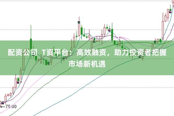配资公司  T资平台：高效融资，助力投资者把握市场新机遇
