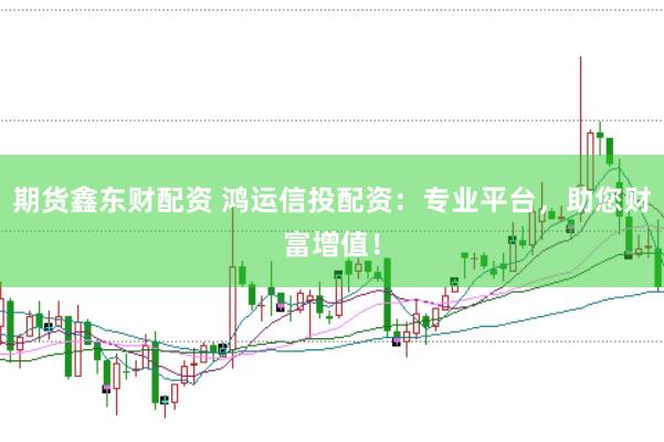 期货鑫东财配资 鸿运信投配资：专业平台，助您财富增值！