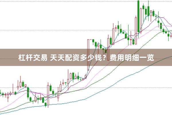 杠杆交易 天天配资多少钱？费用明细一览