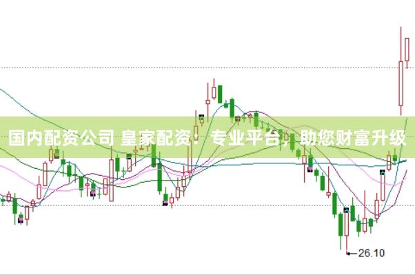 国内配资公司 皇家配资：专业平台，助您财富升级