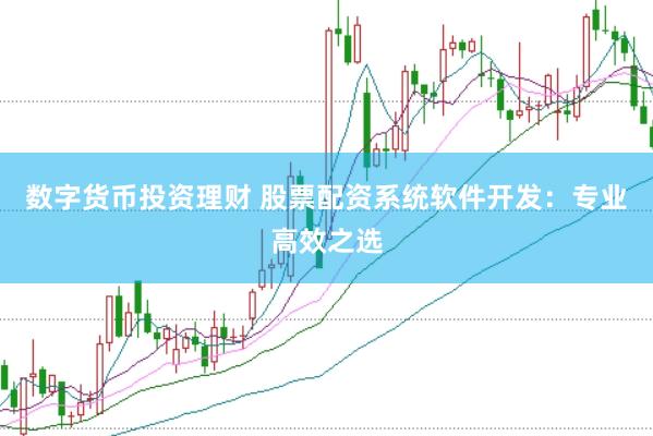 数字货币投资理财 股票配资系统软件开发：专业高效之选