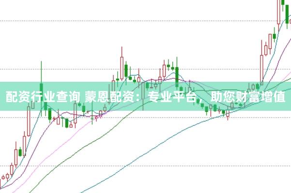 配资行业查询 蒙恩配资：专业平台，助您财富增值