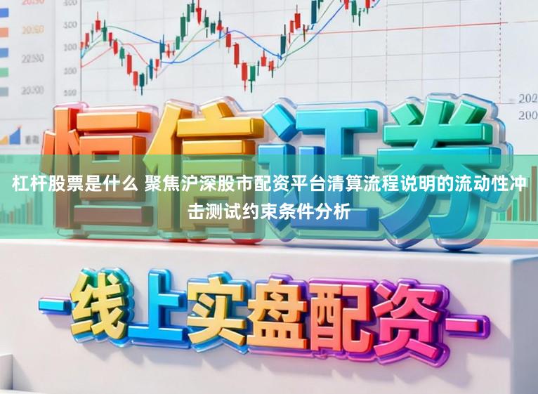 杠杆股票是什么 聚焦沪深股市配资平台清算流程说明的流动性冲击测试约束条件分析