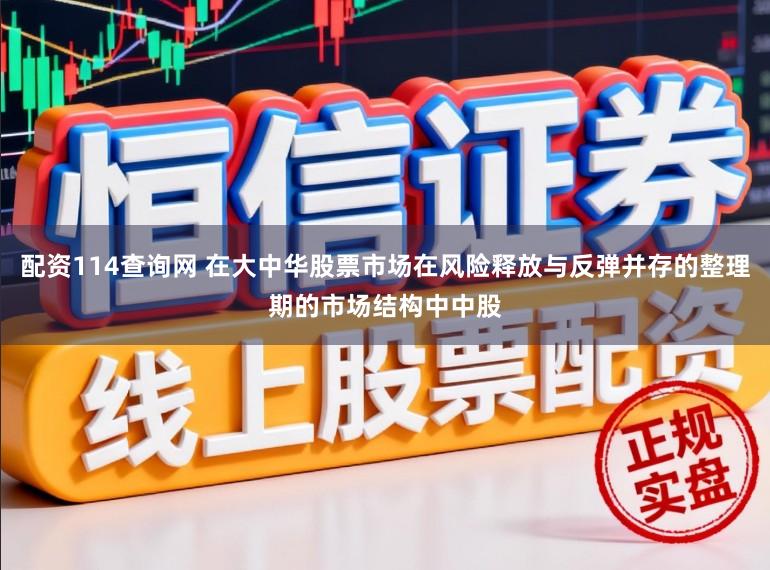 配资114查询网 在大中华股票市场在风险释放与反弹并存的整理期的市场结构中中股