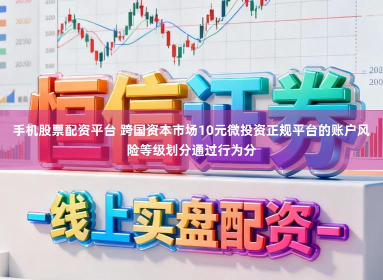 手机股票配资平台 跨国资本市场10元微投资正规平台的账户风险等级划分通过行为分