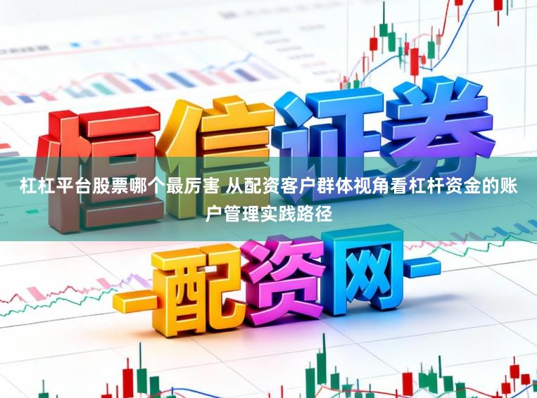 杠杠平台股票哪个最厉害 从配资客户群体视角看杠杆资金的账户管理实践路径